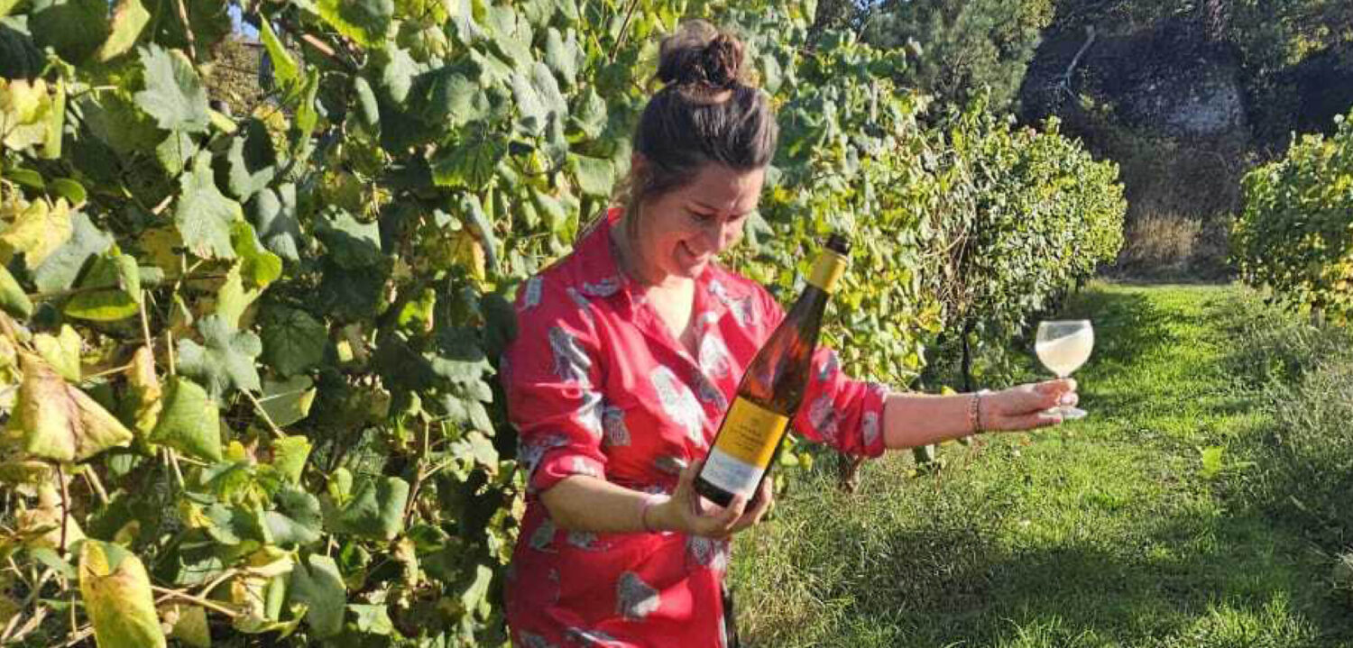 CCD - nieuwsbrief banner wijncursus